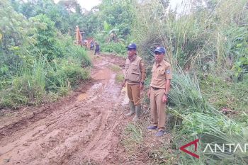 Jalan utama menuju Talu terputus, Pemkab Pasbar buka jalan alternatif