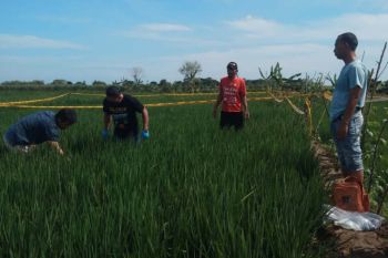 Polisi selidiki dugaan pembunuhan wanita tanpa identitas di  Tegal