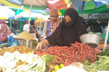 Distan Mataram segera mengendalikan harga cabai