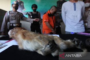Polisi ungkap penyelundupan satwa dilindungi asal Banjarmasin