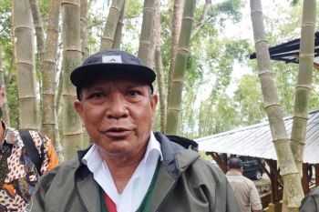 Pemkab Nagekeo siapkan 20 desa untuk kembangkan tanaman bambu
