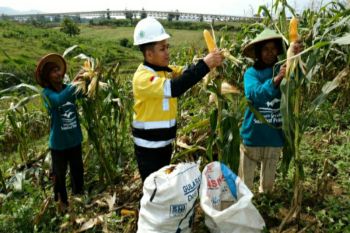 Semen Gresik terapkan industri hijau, manfaatkan bahan bakar alternatif