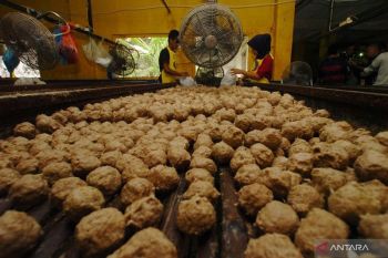 Ini makanan favorit Dubes Australia kala sekolah di Indonesia
