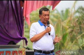 Ekonomi Pesisir Selatan tumbuh gemilang di 2021