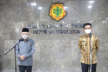 Wapres pastikan ketersediaan pangan jelang puasa dan Lebaran aman
