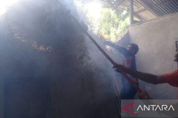 Satu rumah di Agam rusak akibat tertimpa pohon