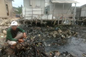 Walhi dorong pemda usut pencemaran di Pesisir Laut Panjang