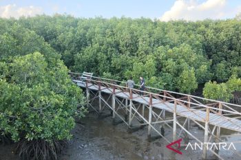 20 desa di Bulukumba Sulsel lolos seleksi lokasi desa cerdas Kemendes PDTT RI