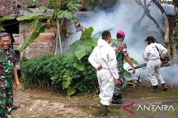 Kalsel kemarin, 133 orang terserang DBD hingga pasien COVID-19 hanya isolasi