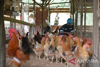 Momentum peringatan Hari Perempuan Sedunia, Kelompok Wanita Tani Tunas Berseri Desa Kayu Besi terima bantuan dari PT Timah Tbk