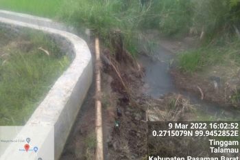 1.056 hektare sawah irigasi di Pasaman  Barat terancam kekeringan