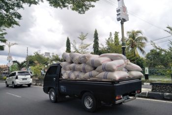 Harga gabah petani di Lombok Tengah turun