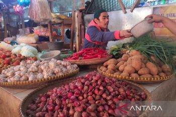 Menteri Pertanian jamin pasokan cabai cukup untuk Ramadhan dan Idul Fitri