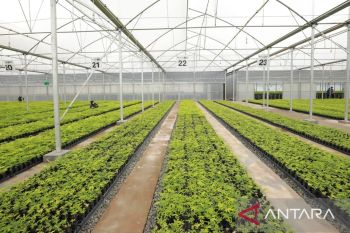 Bupati Bogor harap Persemaian Modern Rumpin tingkatkan perekonomian daerah