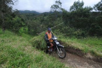 Aktivitas warga lereng Gunung Merapi kembali normal