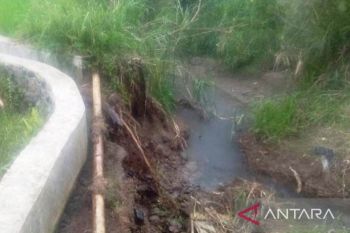 Sekitar 1.056 hektare areal persawahan di Pasaman Barat terancam kekeringan akibat gempa