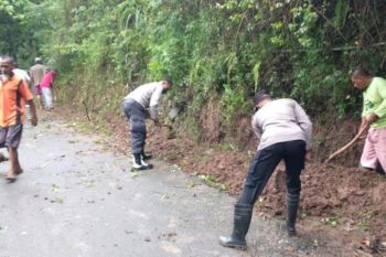 Tanah longsor lumpuhkan jalan antardesa di Madiun