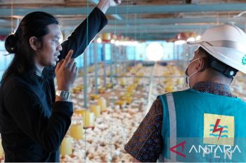 Peternak milenial Sulsel gunakan listrik PLN untuk pengembangan industri peternakan