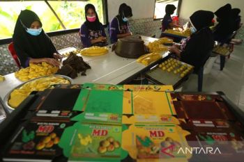 UMKM diminta bisa ambil peluang dari penyelenggaraan Presidensi G20 Indonesia