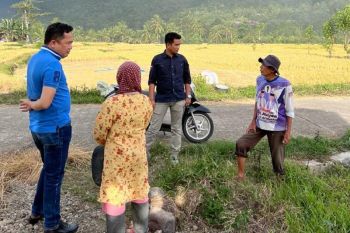 Pemkab Pesisir Selatan tingkatkan produktivitas lahan melalui irigasi