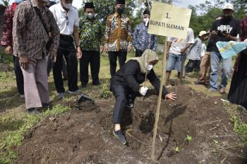 Bupati Sleman menanam bibit sawo di Kebun Pendidikan