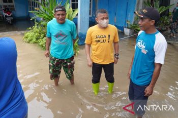 Wali Kota: Banjir di Palu karena sedimentasi
