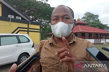 Komnas HAM dorong bupati pegunungan Papua aktif mencegah kekerasan