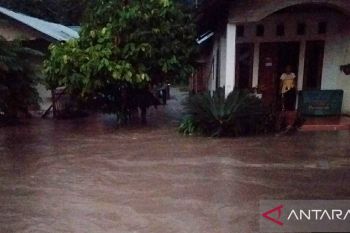 Hujan lebat menyebabkan banjir di Desa Pesaku,  Kabupaten Sigi
