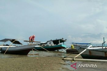 Pemkab Parimo optimistis sanggup penuhi kebutuhan ikan di IKN