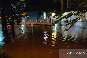 Sebanyak 495 rumah warga di Baturaja terdampak banjir