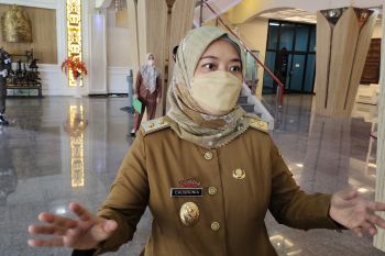 Pemprov Lampung akan lakukan pemberdayaan UMKM desa
