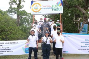 PLN Peduli dukung pengadaan jembatan di lokasi konservasi Pulau Komang
