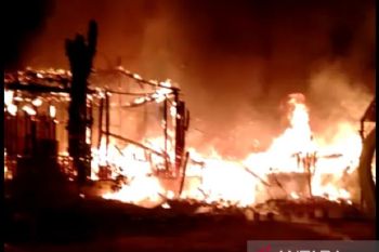 Ini penyebab Asia Farm di Pekanbaru terbakar