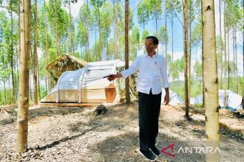 Presiden Jokowi katakan, Istana Negara di IKN Nusantara dibangun di dataran tertinggi