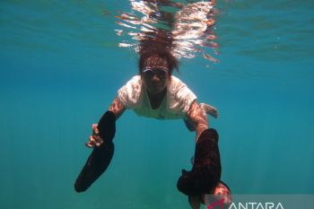 Kelompok perempuan di Raja Ampat panen biota laut hasil konservasi adat