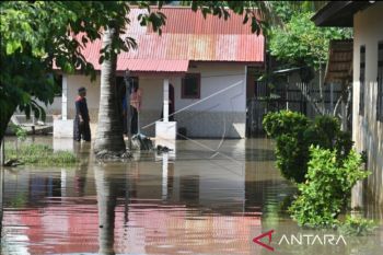 BPBD:  Sejumlah daerah di Sulteng rawan banjir dan tanah longsor