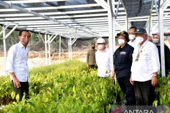 Menteri LHK: Persemaian Mentawir dukung rehabilitasi lahan di areal IKN