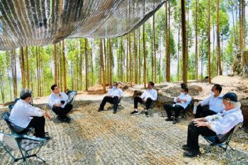 Presiden Jokowi perkirakan pembangunan IKN Nusantara selesai 15-20 tahun