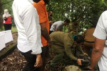 BKSDA-Polda Sumbar lepasliarkan satwa dilindungi barang bukti perdagangan ilegal