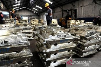 BUMN Timah setor pajak dan pendapatan senilai Rp776 miliar ke negara