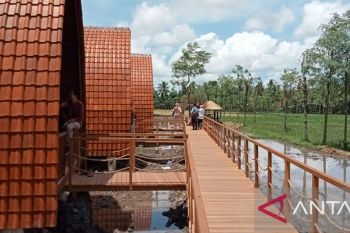 Warga Lombok Tengah memanfaatkan sawah jadi bungalow untuk tamu MotoGP