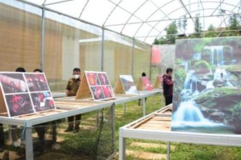 Pemprov Sulbar susun peta peluang usaha