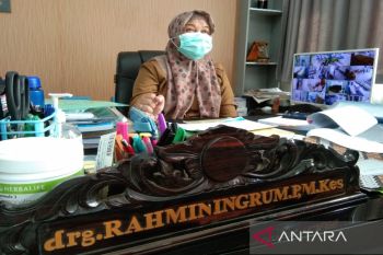 Dinkes catat terdapat 44 kasus DBD di Kendari