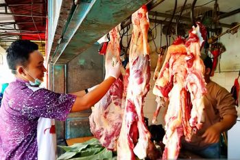 Stok daging sapi di Lumajang aman menjelang Ramadhan