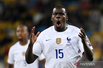 Bek West Ham Zouma diseret ke pengadilan di Inggris karena aniaya kucing