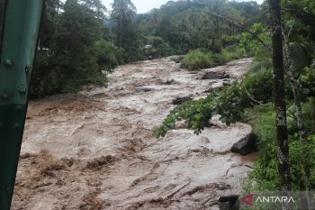 Dua sungai di Talamau Pasaman Barat meluap bawa material kayu (Video)