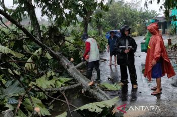 Masyarakat Klaten diminta waspadai dampak hujan intensitas tinggi
