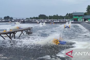Jaminan keandalan prima, jumlah pelanggan premium di Sumbar kian meningkat