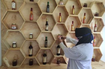 Indonesia showcases value-added food innovations at FAO in Rome