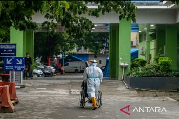 PPNI:  Tiga perawat di Sulawesi Tengah gugur selama pandemi COVID-19